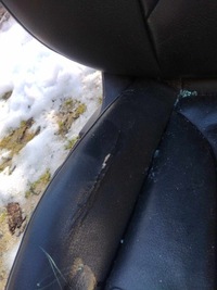 фото thumb №11, Сидіння комплект audi a4 b8 sedan шкіра x