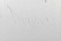 фото thumb №10, Крыло правый перед передний jasnobłękitny renault trafic 2 ii 01-14