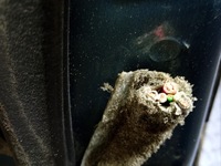 фото thumb №6, Volvo s60 i дверь перед правое mistral green