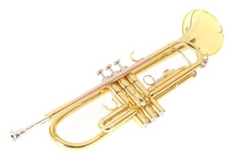 Рой Бенсон Труба Bb TR-101