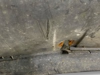 Fiat doblo 1900cm3 2007 бамперы грузовой Киев, фото thumb