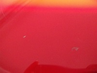 фото thumb №8, Chevrolet camaro cabrio vi 2015- чехол крыша