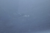 фото thumb №7, Land rover discovery l462 дверь левый перед левая передние