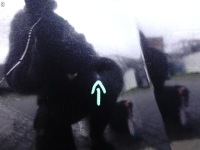 Купить Bmw x1 e84 09-15 lci рестайлинг  капот bonnet капот крышка двигателя перед grad, фото thumb