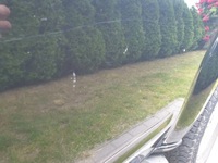 фото thumb №5, Nissan pathfinder r51 дверь левая задняя задние gn0