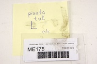 фото thumb №6, Me175 skoda scala 1.6d ступица левый задняя