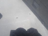 фото thumb №10, Капот vw touran i 1 1t0 vw caddy iii 03-06 czarna