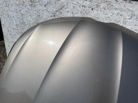 фото thumb №4, Talisman капот перед золотая tehnp