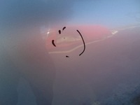 фото thumb №11, Капот крышка двигателя suzuki vitara ii 2005-