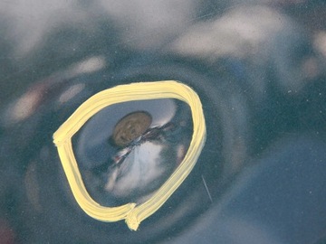 фото thumb №7, Subaru outback iii 3 03-09 капот перед передня