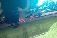 фото thumb №2, Двері правий задня renault arkana rs-line