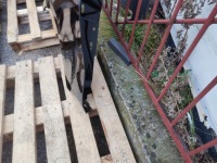 Крила лівий перед aluminiowy bmw 4 g22 g23 g26 g82 20r- 668 glanzschwarz Київ, фото thumb