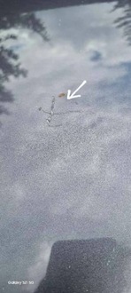 фото thumb №10, Капот крышка двигателя bmw 3 e90 e91