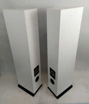 DLS R55 – громкоговорители