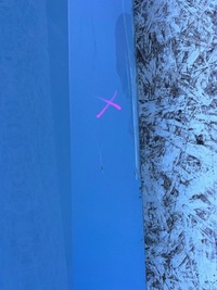 фото thumb №10, Bmw 4 i4 g26 2020 дверь передние правое перед правый