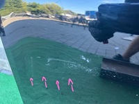 фото thumb №8, Vw id4 id.4 11a дверь правое передние правый перед org eu