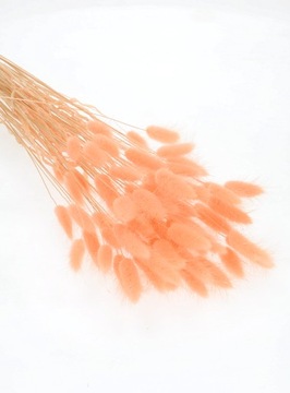 Букет сушеных цветов Dandelion Ovoid Lagurus 60 шт.
