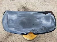 фото thumb №1, Citroen c4 grand picasso ii капот exyb