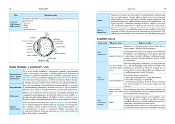 TABLICE ŁĄCZONE + REPETYTORIUM Chemia Liceum Techn