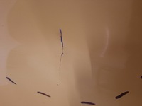 фото thumb №6, Ford transit 6 mk8 13- дверь боковой сдвижные правое задняя задние правый