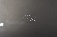 фото thumb №7, Kia sorento ii дверь левый перед левая передние k3n