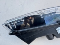 Tesla model y противотуманная фара правый led drl перед 1507933-10 Доставка, фото thumb