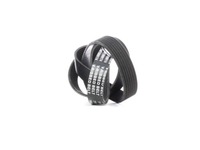 фото thumb №8, Ridex 305p0344 ремень клиновой многоручьевой do nissan pathfinder iii r51