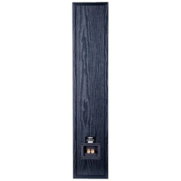 WILSON RAPTOR 5 HI-FI НАПОЛЬНЫЙ ДИНАМИК