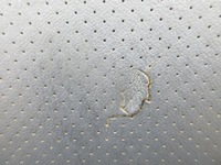 фото thumb №5, Renault espace iv сиденье левый правые перед зад второй ряд третий ряд кожа