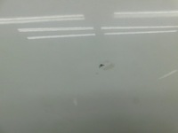 фото thumb №9, Дверь левая задняя - peugeot 5008 ii 17-23 ewp