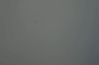 фото thumb №6, Дверь левый задняя lf9e skoda superb ii lift kombi