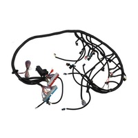 фото thumb №5, Жгут трубопровод silnikowych ls1 - 4l60e profesjonalna samodzielna e0