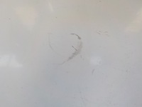 фото thumb №5, Vw transporter t5 капот 2004-2010