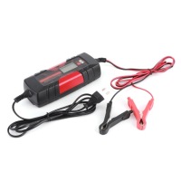 фото thumb №5, Inteligentna зарядний пристрій акумуляторів консервація