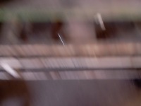 Поддон масляная r6110140902 mb sprinter w903 313 Доставка, фото thumb