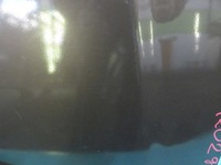 фото thumb №10, Капот передня audi a3 8l 96-99 lz8p