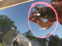 фото thumb №8, Mazda 5 cr 2005 2006 2007 2008 крыло левый