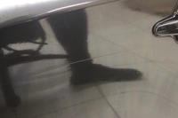 фото thumb №9, Bmw x3 e83 03r- двері ліві задні лівий зад 475