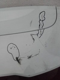 фото thumb №7, Ford puma mk2 кришка зад задня багажника st line