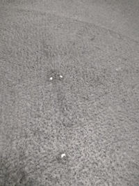 фото thumb №13, Полиця багажника ford focus mk1 5d 2000r