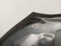 Капот кришка двигуна bmw x7 g07 18- в Україні, фото thumb