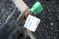 Фаркоп  буксирувальний citroen jumpy iii expert Зі Шроту, фото thumb