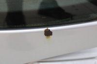 фото thumb №10, Seat leon 2 ii 04-09r крышка багажника багажника задняя задняя ls7y - код лакокрасочного покрытия