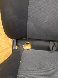 фото thumb №6, Renault master iii сидіння водія пасажира лавка