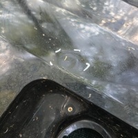 фото thumb №9, Крыло задний левый toyota corolla e16 e18 2013-2019r