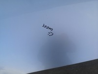 фото thumb №5, Капот кришка двигуна seat altea xl freetrack la7w оригінал лак