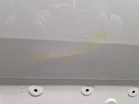 фото thumb №6, Двері перед праве peugeot 3008 ii 2016-