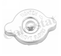 фото thumb №1, Calorstat by vernet крышка бака расширительный