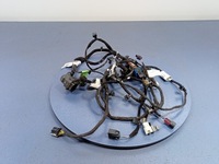 фото thumb №1, Alfa romeo stelvio qv джгут двері перед przwe