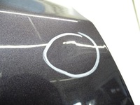 фото thumb №12, Дверь правые перед правые передние audi q5 8r lz4x